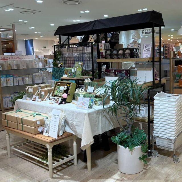 『アットオリーブ』シリーズ　POP UP開催中